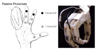 Biomechatronic Hand